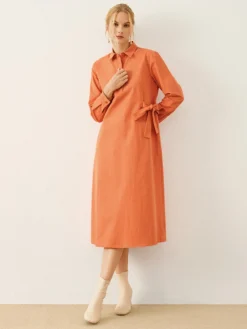 Solid Bowknot Long Sleeve Lapel Button Half Placket Dress