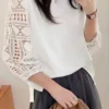 Lace Hollow Panel Lantern Sleeve Crew Neck Blouse